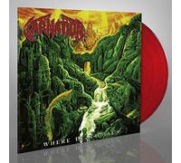 Carnation - Where Death Lies (Vinyl Transparent Red Edt.)