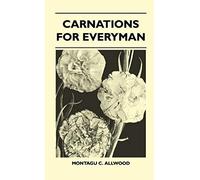 Carnations For Everyman