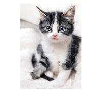 CARNET À DESSIN-TRAPPE À DESSIN-FORMAT A3 - CHAT RNK - VERLAG 45331