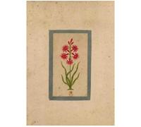 Carnet Blanc, Fleur 1, miniature Indienne 18e siècle - Collectif - Hachette Bnf - broché - Livre
