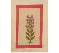 Carnet Blanc, Fleur 2, miniature Indienne 18e siècle - Collectif - Hachette Bnf - broché - Livre