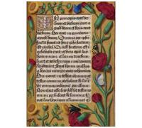 Carnet Blanc, Heures Anne de Bretagne, oeillets - Collectif - Hachette Bnf - broché - Livre