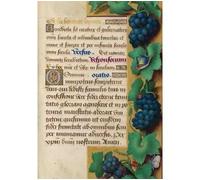 Carnet Blanc, Heures Anne de Bretagne, Raisin - Collectif - Hachette Bnf - broché - Livre