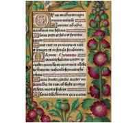 Carnet Blanc, Heures Anne de Bretagne, Roses - Collectif - Hachette Bnf - broché - Livre