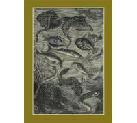 Carnet blanc : Vingt mille lieues sous les mers, Jules Verne, 1871 Le Fleuve Noir - Alphonse De Neuville - Hachette Bnf - broché - Livre