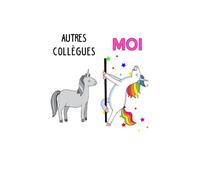 Carnet Cadeau pour collègue femme: Carnet de notes drôle pour NOEL/ANNIVERSAIRE