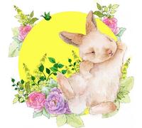Carnet carré Swarovski CL2009 Lapin