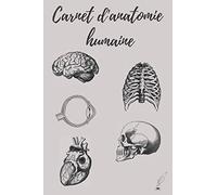 Carnet d'anatomie humaine: pour tous les étudiants en santé : médical (médecine, odontologie, maïeutique et pharmacie) et paramédical (kinésithérapeute, infirmière...)