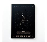 Carnet De Croquis À Douze Constellations, Carnet À Dorure Pour Bélier, Balance, Poissons, Verseau, Scorpion, Capricorne, Lion, Sagittaire, Vierge