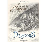 Carnet de croquis de dragons