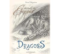 Carnet de croquis de Dragons