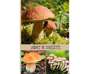 CARNET DE CUEILLETTE: Journal Carnet pour le suivi de vos cueillettes de champignons : 50 doubles fiches à remplir