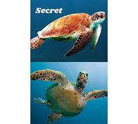 Carnet de mots de passe Tortue - Secret - couverture discrète: Registre de mots de passe, 300 mots de passe, idée cadeaux, n’oublier plus vos mots de passe, tortue, fond marin