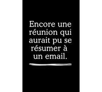 Carnet de notes "Encore une réunion qui aurait pu se résumer à un email" :: parfait pour une idée cadeau Noël pour le bureau et collègues, Secret Santa, carnet de notes humour pas cher