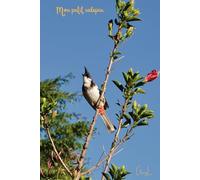 CARNET de NOTES - " Mon petit calepin " - Bulbul orphée - 100 pages: photo d'art : GuyL'ART / carnet ligné une page sur deux: carnet de croquis, ... secret, mémo, aide-mémoire - petit calepin