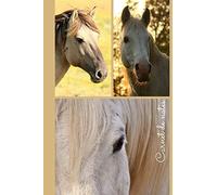 Carnet de notes: photos de chevaux en couleur | Intérieur ligné pour prise de note facile, avec motifs cheval ( carnet de note ligné avec motifs cheval )