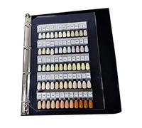 Carnet de présentation de couleur pour ongles avec 120 pointes amovibles et étiquettes pour tests et organisation des ongles numérotés