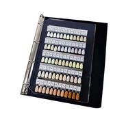 Carnet de présentation de couleur pour ongles avec 120 pointes amovibles et étiquettes pour tests et organisation des ongles numérotés