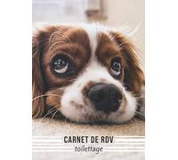 Carnet de rdv Toilettage: Agenda professionnel 5 colonnes pour prise de rendez-vous (Format A4 21 x 29,7 cm - 100 pages)