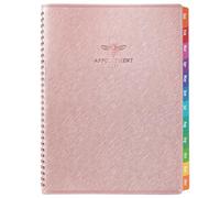 Carnet de rendez-vous 2026 - Planificateur de rendez-vous 2026, janvier 2026 à décembre 2026, 27,9 x 22,9 cm, planificateur quotidien horaire avec intervalle de 15 minutes, onglets colorés - Or rose