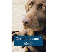 Carnet de santé Labrador: Carnet de suivi de votre chien Labrador avec suivi des vaccins | Vétérinaire et soins |102 pages