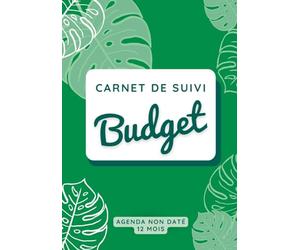 Carnet de suivi budget: Gestion budgétaire, suivi de budget, carnet de compte à remplir