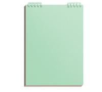 Carnet d'école détachable - Bloc-notes à spirales A5 avec 60 feuilles, supérieure durable, bloc-notes pour étudiant pour notes, cours, projets | Carnet multifonction pour une utilisation