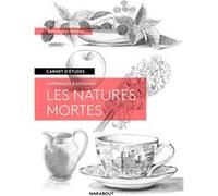 Carnet d'études - Les natures mortes