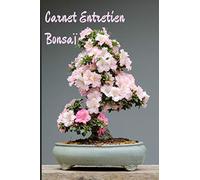 CARNET ENTRETIEN BONSAÏ: Carnet de suivi pour la culture et les soins des bonsaïs | Carnet de Planification d'Entretien des Bonsaïs |100 Fiches |Format 15.24 cm x 22.86 cm