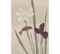 Carnet - Fleurs et oiseaux - Collectif - Reliefs Editions - broché - Carnet (de voyage, intime, de notes)