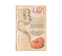 Carnet Flexis Lys & Tomate - Mini - Ligné - 208 p.