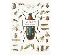 Carnet Insectes