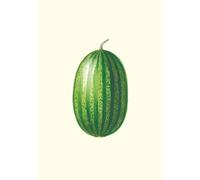 Carnet Jardin potager et jardin fruitier