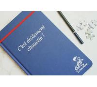 Carnet Le Petit Nicolas "C'est drôlement chouette"