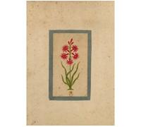 Carnet ligné Fleur 1, miniature Indienne 18e siècle - Collectif - Hachette Bnf - broché - Livre