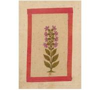Carnet ligné Fleur 2, miniature Indienne 18e siècle - Collectif - Hachette Bnf - broché - Livre