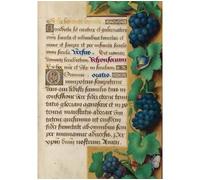 Carnet ligné Heures Anne de Bretagne, Raisin - Collectif - Hachette Bnf - broché - Livre