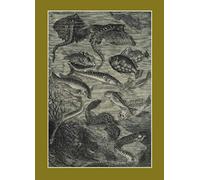 Carnet Ligné . Vingt Mille Lieues Sous Les Mers, Jules Verne, 1871. Le Fleuve Noir