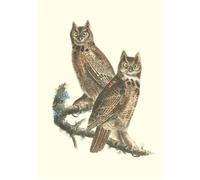 Carnet - Oiseaux d’Amérique Edition bilingue français-anglais - Jean-Jacques Audubon - Reliefs Editions - broché - Carnet (de voyage, intime, de notes)