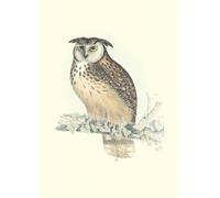 Carnet Oiseaux de l’Himalaya