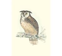 Carnet - Oiseaux de l’Himalaya - Notes et Lectures Edition bilingue français-anglais - John Gould - Reliefs Editions - broché - Carnet (de voyage, intime, de notes)