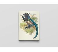 Carnet Oiseaux de Nouvelle-Guinée