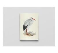 Carnet - Oiseaux d'Europe - Notes et Lectures Edward Lear (Illustration), Elizabeth Gould (Auteur)