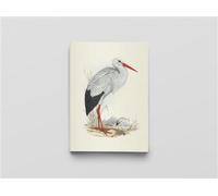 Carnet - Oiseaux d'Europe - Notes et Lectures - Edward Lear - Reliefs Editions - broché - Carnet (de voyage, intime, de notes)
