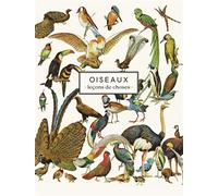 Carnet Oiseaux Leçons de choses - Les Jolies Planches - Jolies Planches - broché - Carnet (de voyage, intime, de notes)