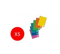 Carnet Perforé Spirale Une Couleur 5m Carrés 5mm 1148 16,2x21 5 Pièces
