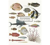 Carnet Poissons Collectif (Auteur)