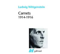 Carnets: (1914-1916)