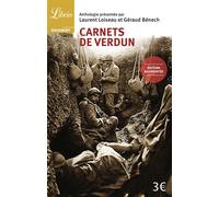 Carnets de Verdun - Laurent Loiseau - Librio - Poche - Récit