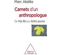 Carnets d'un anthropologue Marc Abélès (Auteur)